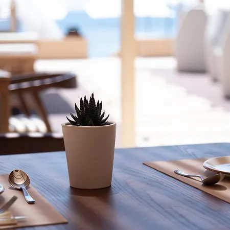 Ionian Crown In Hotel Mparmpati